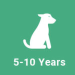 5-10-years